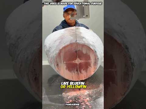 🤯Worlds Most Expensive VS Most Cheapest tuna Fish