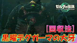 【ゼルダの伝説ティアキン】「黒曜デグガーマの大牙」の集め方！黒曜デグガーマの倒し方も解説します！