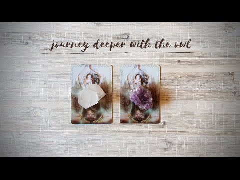 Guidance from the Owl Spirit | Oracle Card Reading