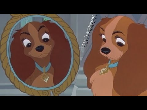 Lady´s morning - Lady and the Tramp (HD)
