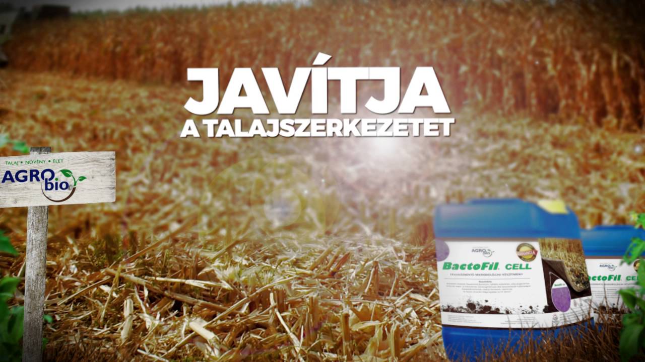 Szárbontás: Bactofil Cell