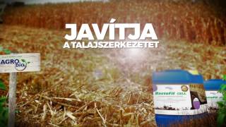 Szárbontás: Bactofil Cell