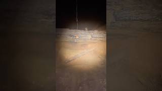 Download lagu Fishing just near the house, there are lots of predatory fish!!! #fishing #haruan #viral mp3