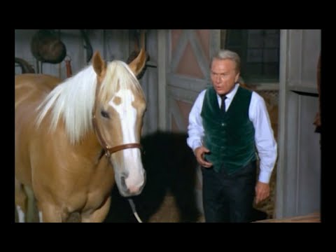 Mr. Haney Sells "Mr. Fred" the Talking Horse to the Douglases - Green Acres - 1969