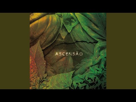 Iroko - Serena Assumpção