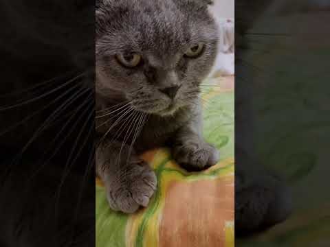 my boarding house in Dubai downtown heart of dubai