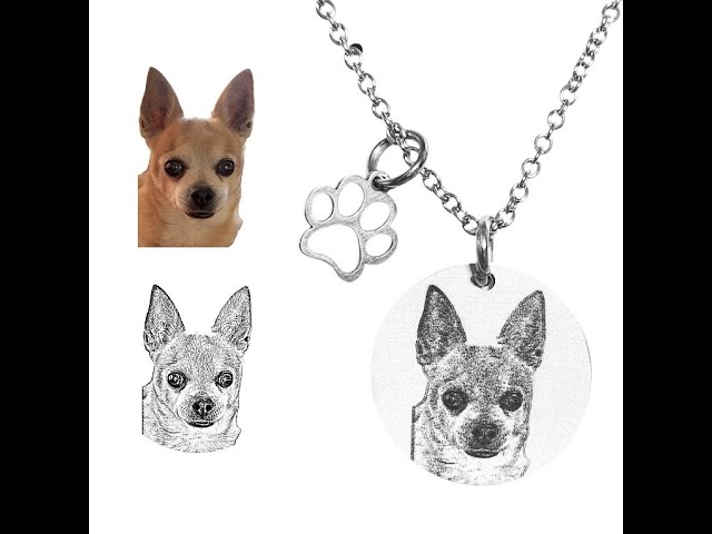 Vídeo relacionado con Umitive Regalo Conmemorativo Personalizado para Mascotas, Llavero con Foto y Nombre, Porta-Pelos, Piel Grabada para la Pérdida de Perro o Gato, Regalo para Amantes de los Animales