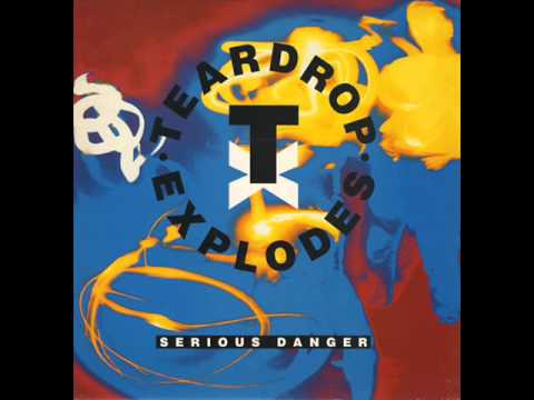 The Teardrop Explodes | Serious Danger | 12 inch Vinyl Version
