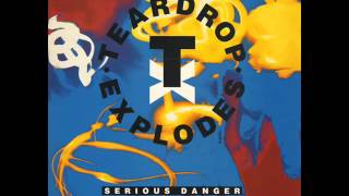The Teardrop Explodes Serious Danger 12 inch Version