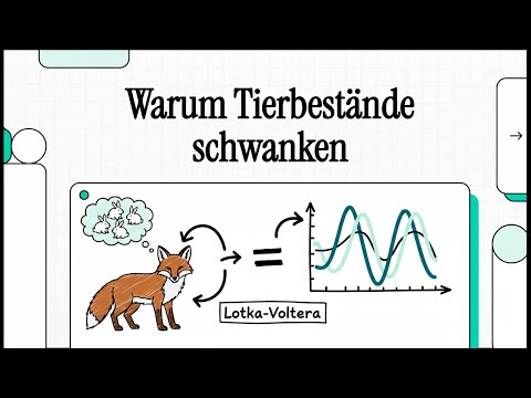 Die Lotka-Volterra-Regeln | EINFACH ERKLÄRT