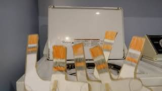 6 soccer socks from Sesame Street Learning about Numbers