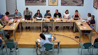 Ple Ordinari 29/09/2026