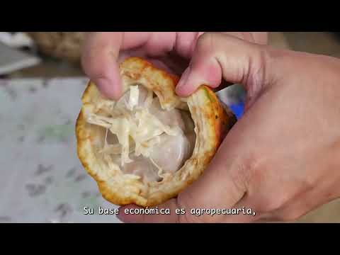 Informe de implementación del procedimiento de Audiencias Públicas Mineras en Villavieja, Huila