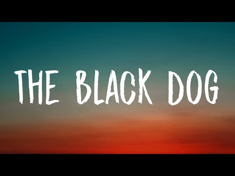 Taylor Swift - The Black Dog (Lyrics)