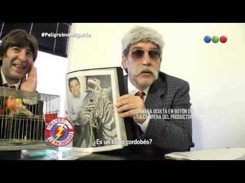 Peligro Investiga: tráfico de animales exóticos (parte 2) - Peligro Sin Codificar