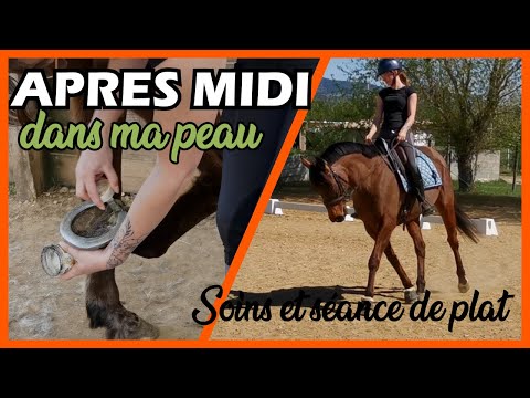 Un après-midi dans ma peau : Soins et séance de dressage