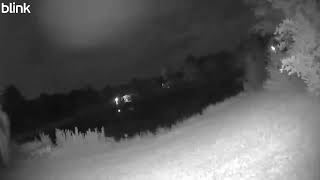 Deer walking on Pond 2025 09 08