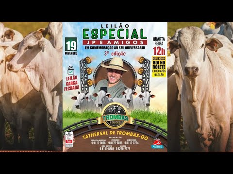 LEILÃO ESPECIAL J.P. E AMIGOS  TROMBAS LEILÕES - TROMBAS GOIAS 19/ 11/ 2025