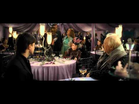 Harry Potter And The Deathly Hallows Part 1Bill And Fleur  Wedding Scene