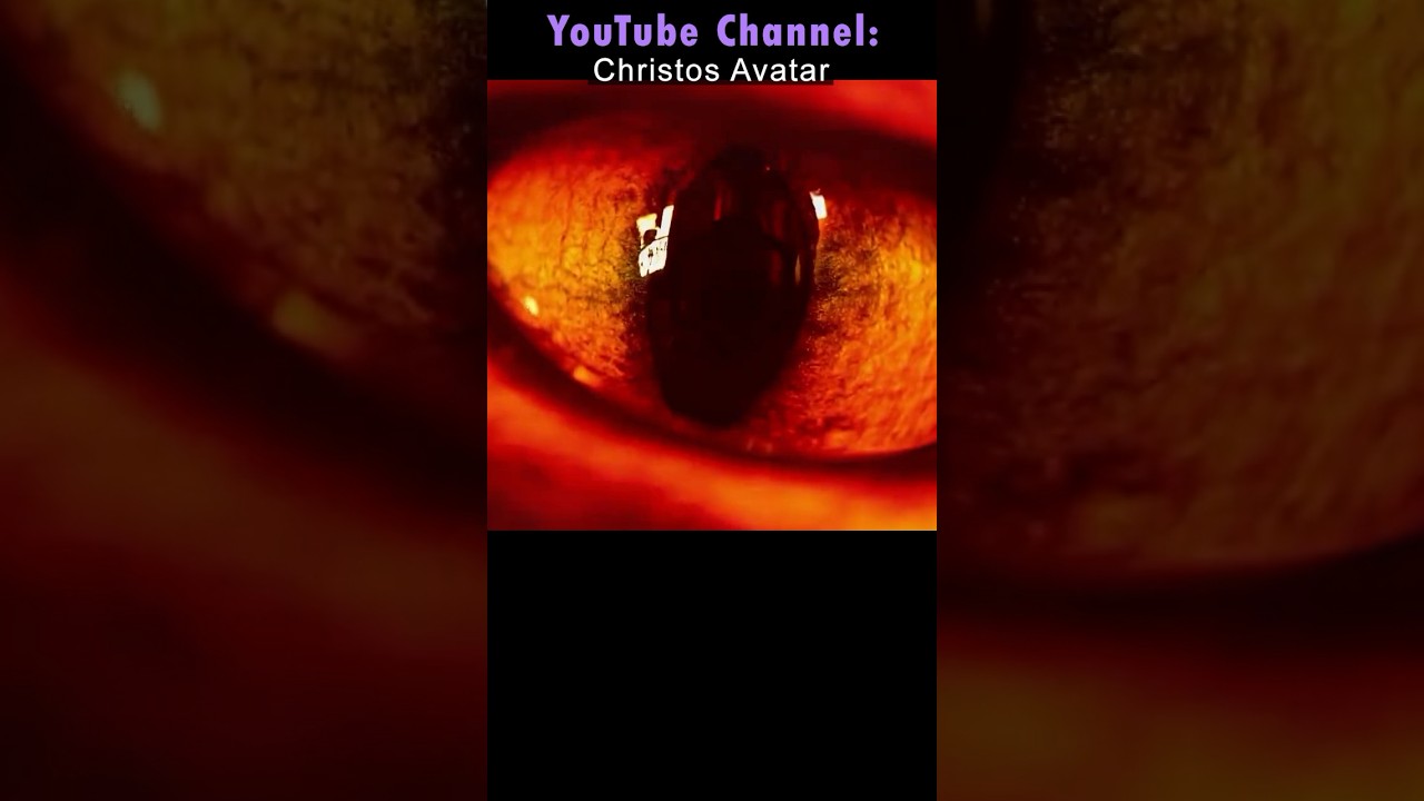 The Phantom Matrix “HELL” & Black Holes