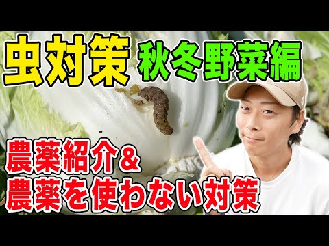 堆肥が臭いのはなぜですか?悪臭を防ぐために避けるべき5つの間違い  庭園