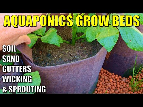 5 Aquaponics Grow Bed Ideas | Soil - Wicking - Sand - Gutter Beds - Sprouting Grain