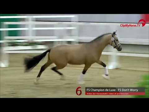 06 Junghengst v. FS Champion de Luxe - FS Don't Worry