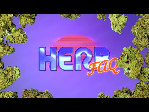 Herb FAQ: The Purest Cannabis Taste with CLSICS Live Rosin