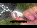 Review Ruffwear, Switchbak Hands‑Free Dog Leash, Adjustable 2.5–7 ft, Double‑Ended Lead with Lockabl