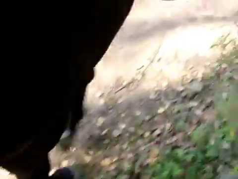 Step cegla nogi Panicz