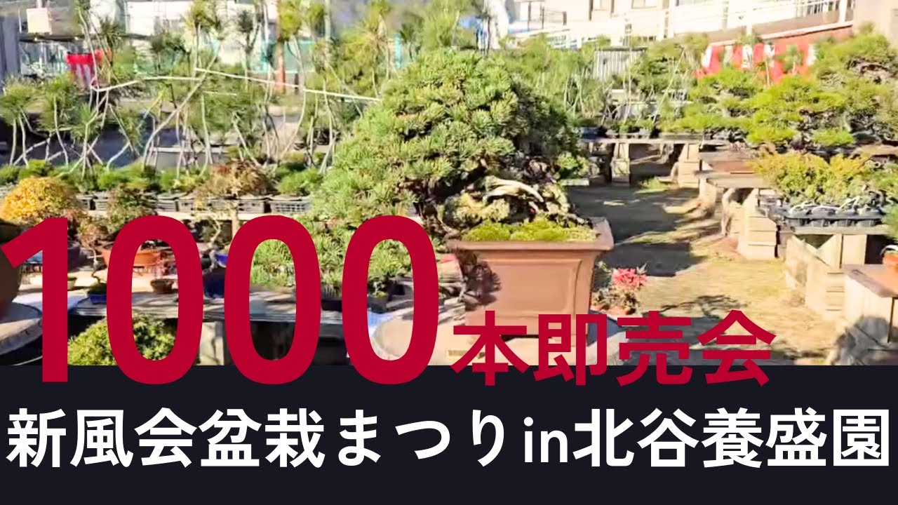 動画サムネイル