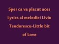 Liviu Teodorescu- Little bit of love Lyrics 