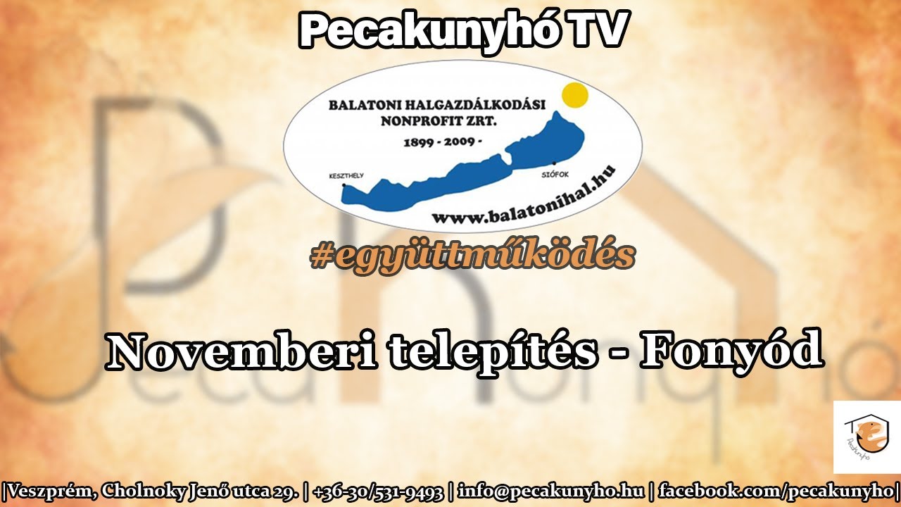 PecakunyhóTV - Novemberi süllő és pontytelepítés a Balatonon - Balatoni Halgazdálkodási Zrt.