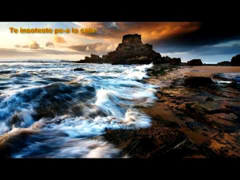 Fratii Budau vol 2 - Tepusul