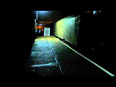 DBS Class 66185 on the Steel Train (1-12-13)