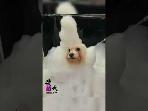 信不信由你，SPA水疗确实有效