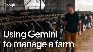 How Gemini 3.6 Flash helped this dairy farmer run his business