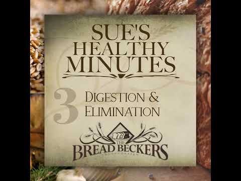 03: Digestion and Elimination