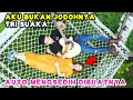 AKU BUKAN JODOHNYA TRI SUAKA LIRIK COVER BY NABILA MAHARANI FT TRI SUAKA