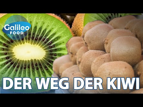 So kommt die KIWI in UNSEREN Obstkorb! | Galileo Food