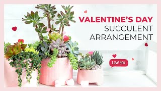 DIY All Pink Succulent Arrangement | Valentine’s Day Plant Gift Ideas