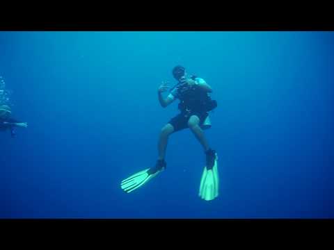 Tauchsafari Brothers Daedalus Elphinstone BDE Seven7Seas