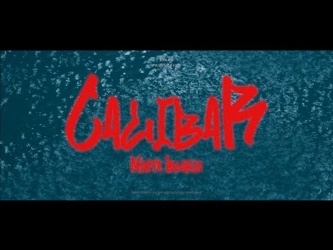MONTA - CALIBAR  [Official Music Video]