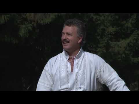 Mitică Tavă - Tinerețe nu te-aș pierde