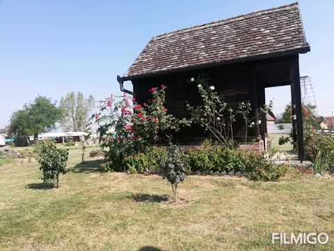 MPS Babogreci i Arteški bunar - Na stanu sam gazda