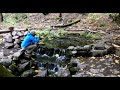 Climb On Trailer