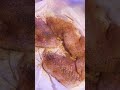 Crispy Fish Sandwich Friedfish Fishsandwich Sandwich Soulfood