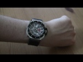 Pole Guardian Watch Review - Edmond Watches