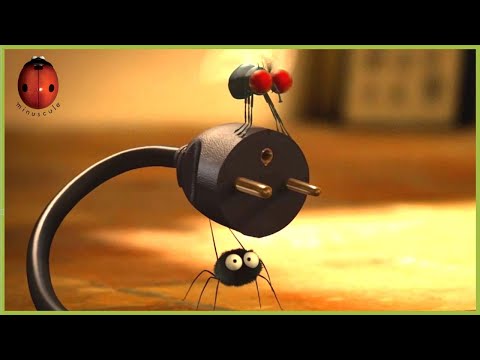 Bzzaping | Minuscule 🍃 40' Compilation