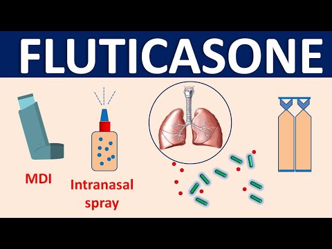 FLOHALE 0.5 RESPULES